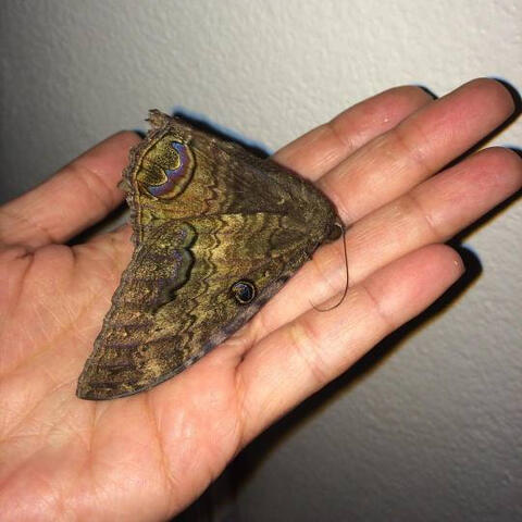 Ana Krish&#39;s Sample Photography