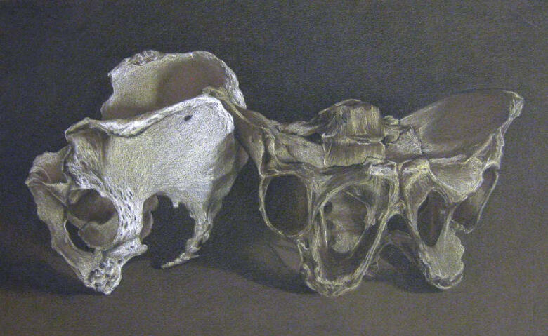 Ana Krish's Sample Pencil Drawing